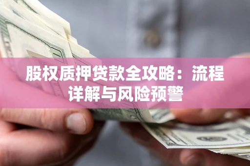 北京股权质押贷款全攻略：流程详解与风险预警