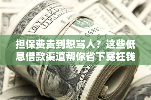 北京担保费贵到想骂人？这些低息借款渠道帮你省下冤枉钱