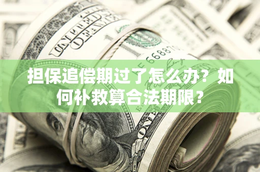 北京担保追偿期过了怎么办？如何补救算合法期限？