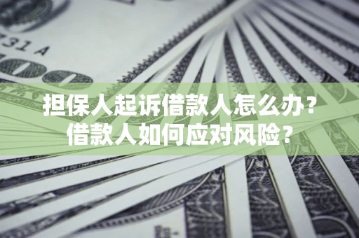 北京担保人起诉借款人怎么办？借款人如何应对风险？